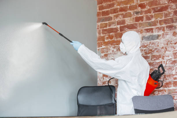 Best Air Quality Testing for Mold Spores  in Elgin, OR