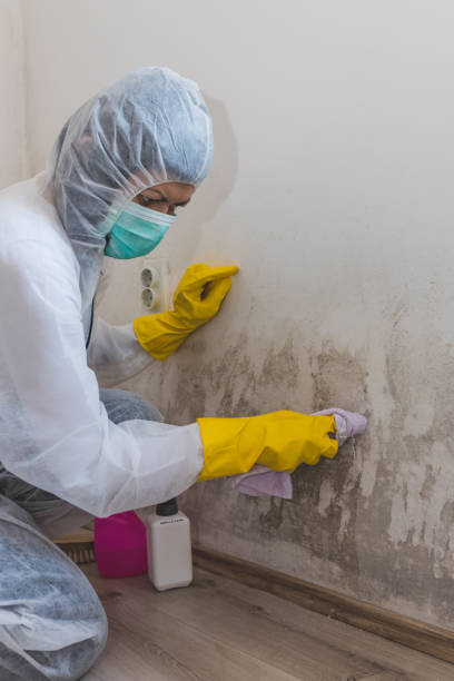Best Dehumidification Services  in Elgin, OR