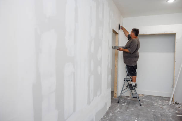 Best Water Damage & Mold Remediation  in Elgin, OR