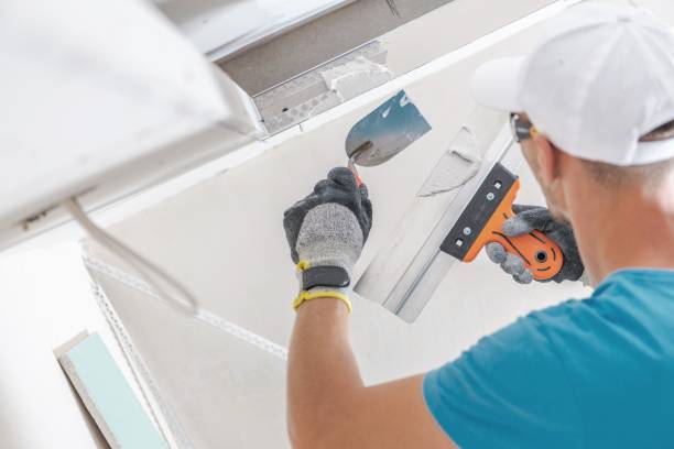 Best Black Mold Removal  in Elgin, OR